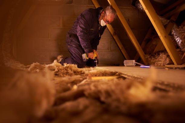 Best Attic Insulation Installation  in Rio, WI
